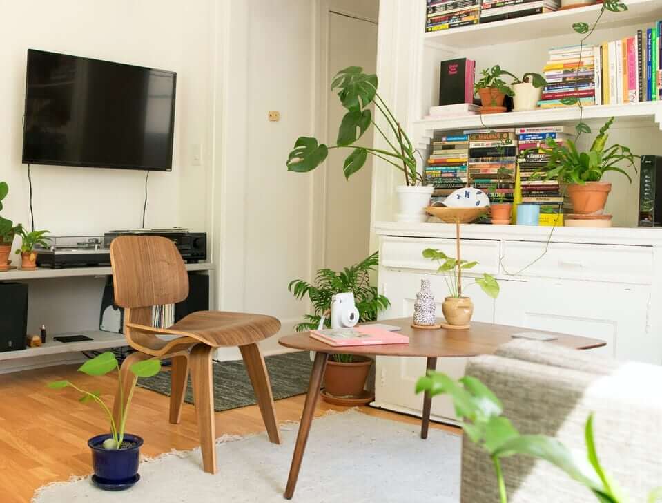 Apartment living area with plants